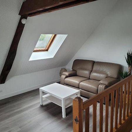 Appartement Avec Vue Sur Loire Blois Bagian luar foto