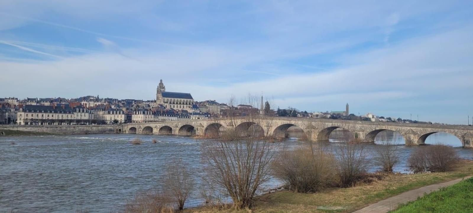 Appartement Avec Vue Sur Loire Blois Bagian luar foto